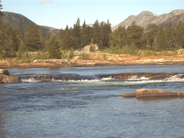 IMG00043