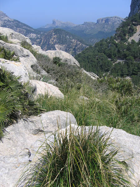Mallorca