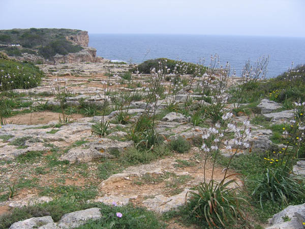 Mallorca