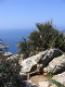 Mallorca