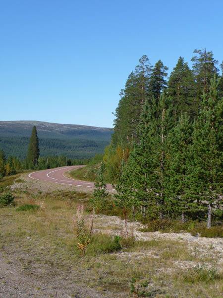P1000958